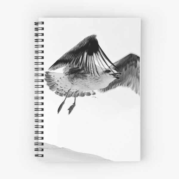 Item preview, Starting seagull designed and sold by Christine Mignon.