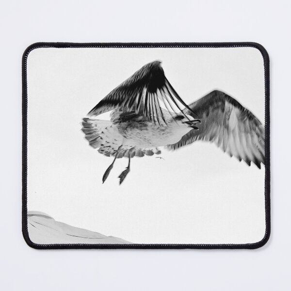 Item preview, Starting seagull designed and sold by Christine Mignon.