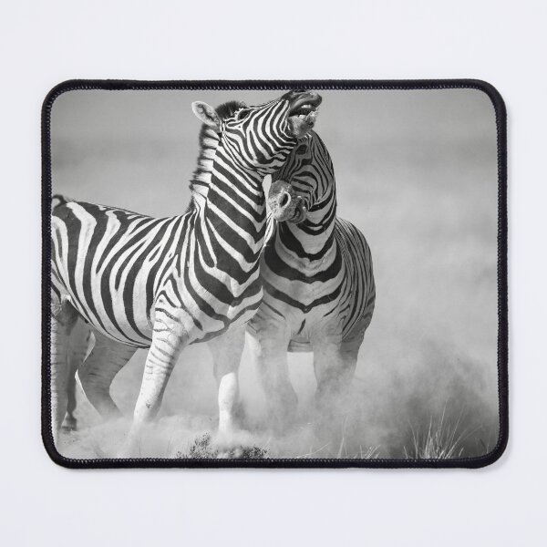 Item preview, Wild Zebra Fight In African Dust designed and sold by DavideAntoniani.