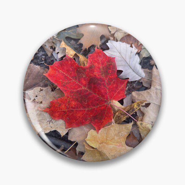 Item preview, Red Leaf In Fall designed and sold by jeansy.