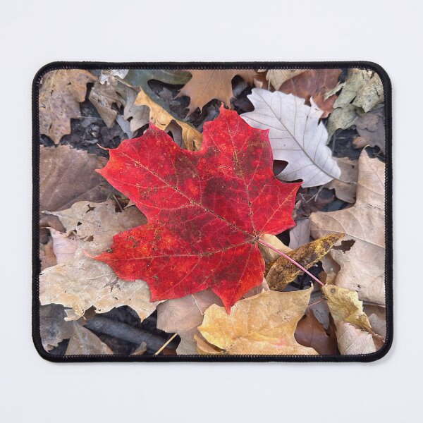 Item preview, Red Leaf In Fall designed and sold by jeansy.