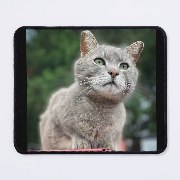 Item preview, Farm Cats designed and sold by Savage Arts.