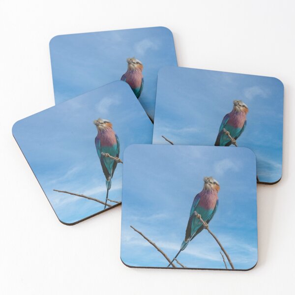 Item preview, Lilac Breasted Roller On Alert designed and sold by Kay Brewer.