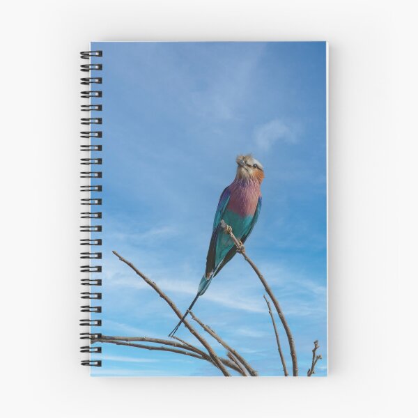 Item preview, Lilac Breasted Roller On Alert designed and sold by Kay Brewer.