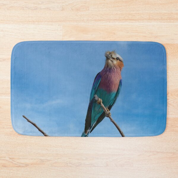 Item preview, Lilac Breasted Roller On Alert designed and sold by Kay Brewer.
