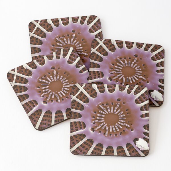 Item preview, Arachnoidiscus central designed and sold by DiatomsATTACK.