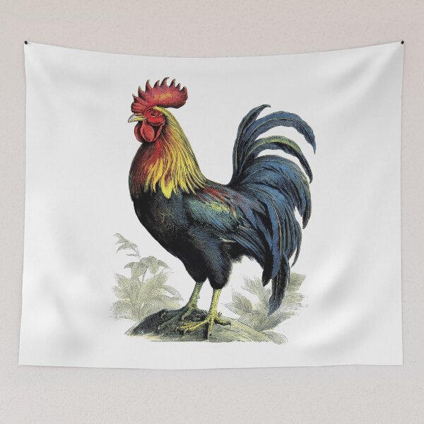 Item preview, Sunrise Rooster - Rooster Designs designed and sold by RockitBaby.