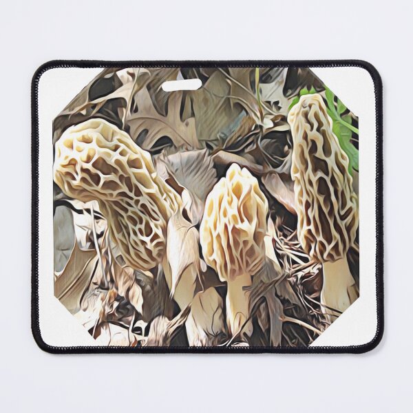 Item preview, Morel mushrooms Untouched designed and sold by natnat7w.