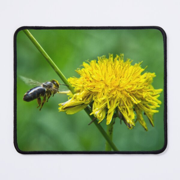 Item preview, Bee Pollinating Yellow Dandelion Flower designed and sold by CarabaMaryus.