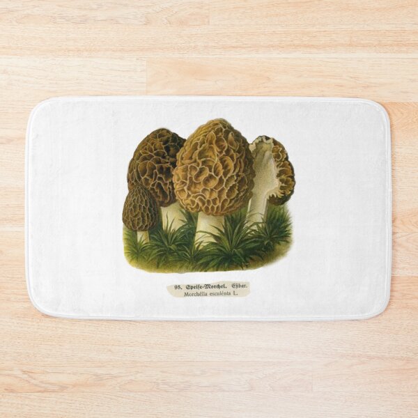 Item preview, Morchella Esculenta Morel Mushrooms  designed and sold by natnat7w.