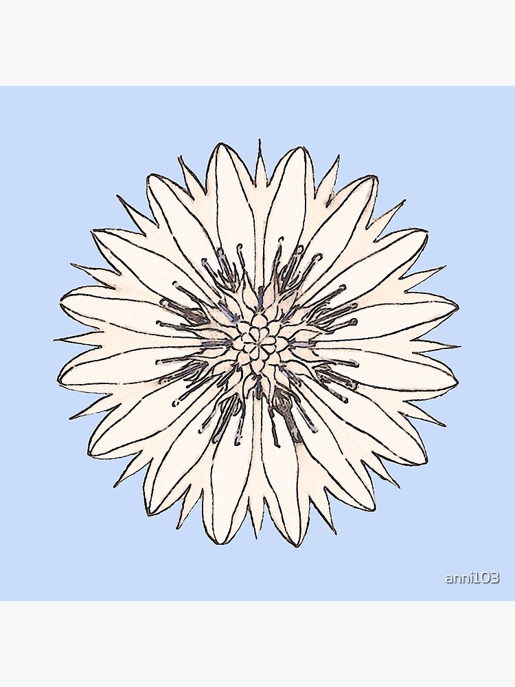Cornflower by anni103