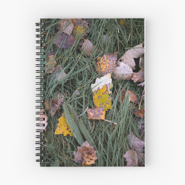 Item preview, autumn leaves. designed and sold by Callie Graphie.