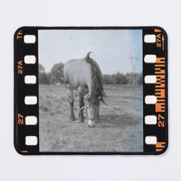 Item preview, Pasture Calm 35mm Analog Memory designed and sold by ArtFusionRalf.