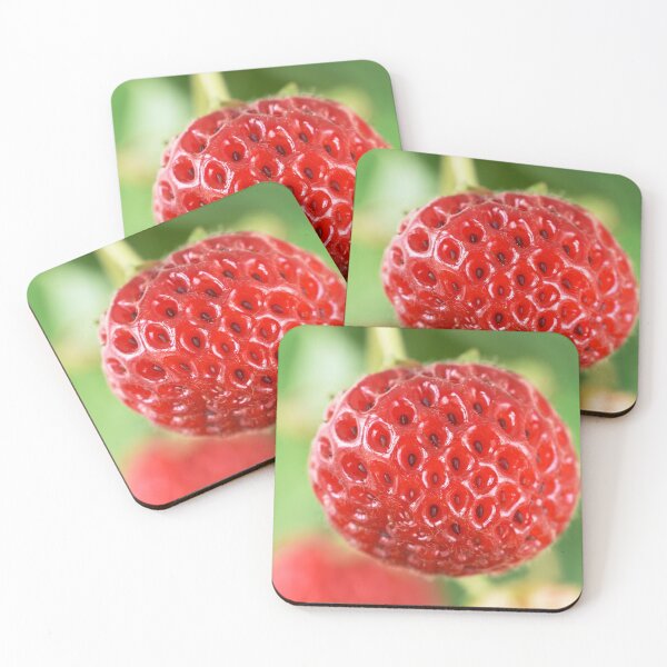 Item preview, Fragaria x ananassa 'Framberry' Strawberry designed and sold by Chris Burrows.