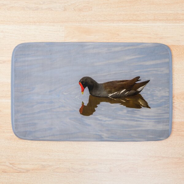 Item preview, Common Gallinule Admiring Its Reflection designed and sold by Debra Martz.