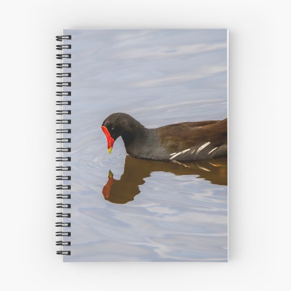 Item preview, Common Gallinule Admiring Its Reflection designed and sold by Debra Martz.