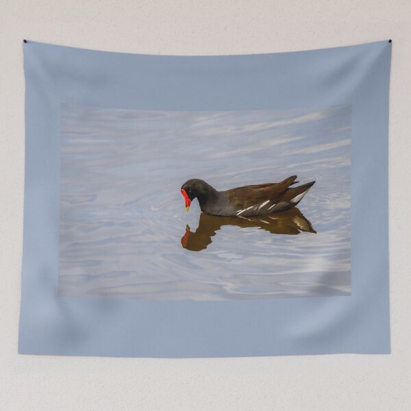 Item preview, Common Gallinule Admiring Its Reflection designed and sold by Debra Martz.
