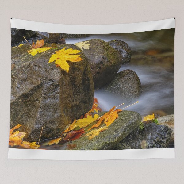 Item preview, Pushed to the Edge designed and sold by DawsonImages.