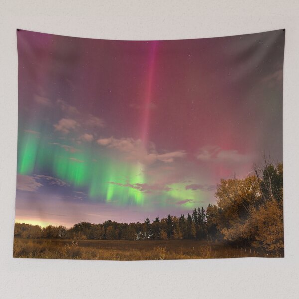 Item preview, Colourful Northern Lights Dancing Above Autumn Trees designed and sold by Amy Mitchell.