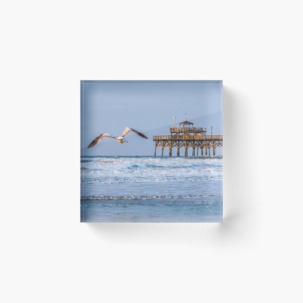 Item preview, Cherry Grove Pier & Seagull designed and sold by MBGSL DESIGNS .