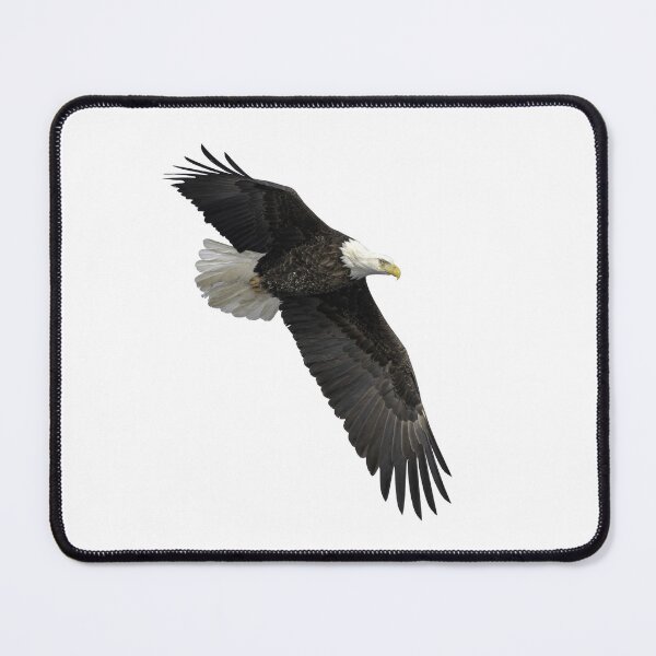 Item preview, Isolated Bald Eagle 1-26-2019-3 designed and sold by Thomasyoung.