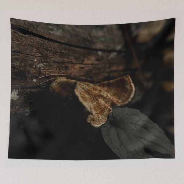 Item preview, Brown Fungi on a Tree designed and sold by TheySeeArtz.