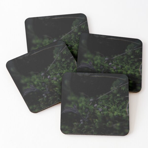 Item preview, Dark Green Moss With Small Mushrooms designed and sold by TheySeeArtz.