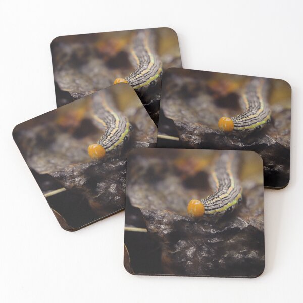 Item preview, Caterpillar on a Leaf designed and sold by TheySeeArtz.