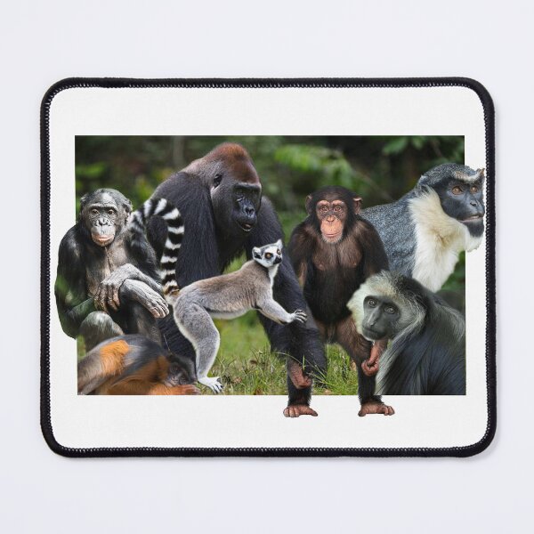 Item preview, Primates (Critically in Danger) designed and sold by grayceapr.