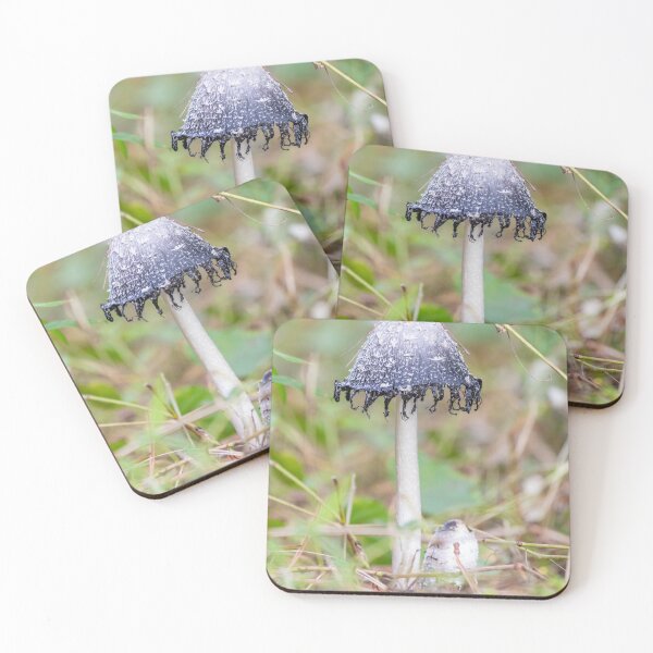 Item preview, Inky Cap Mushroom Photography Print  designed and sold by katelizspra.