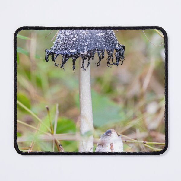Item preview, Inky Cap Mushroom Photography Print designed and sold by katelizspra.