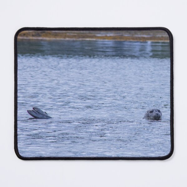 Item preview, Harbor Seal Hanging Out in Boothbay Harbor designed and sold by katelizspra.