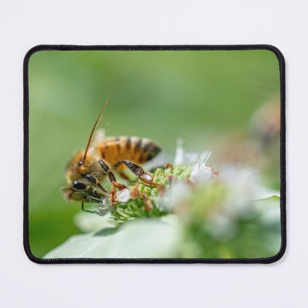 Item preview, Honeybees at Work designed and sold by katelizspra.