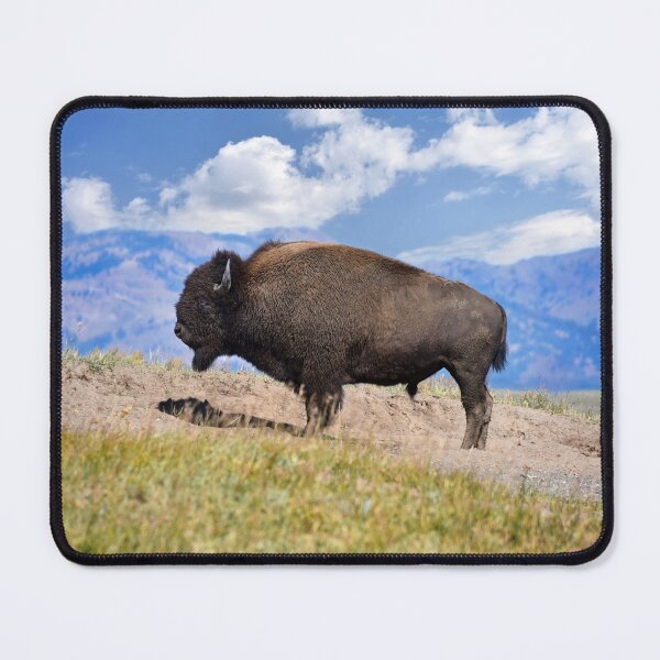Item preview, Posing Bison Bull, Yellowstone National Park designed and sold by Catherine Sherman.