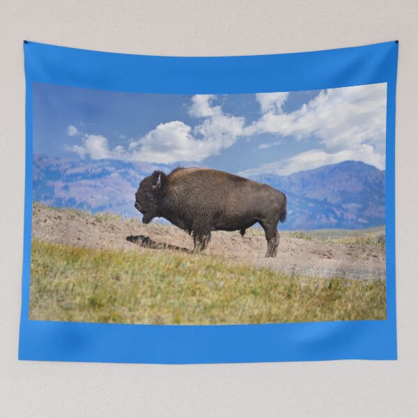 Item preview, Posing Bison Bull, Yellowstone National Park designed and sold by Catherine Sherman.