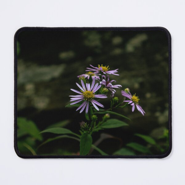 Item preview, Purple Flower Close Up Shot designed and sold by TheySeeArtz.