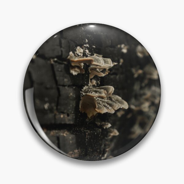 Item preview, Light Brown Mushroom on a Burnt Log designed and sold by TheySeeArtz.