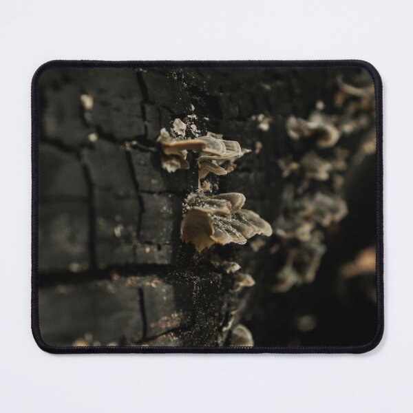 Item preview, Light Brown Mushroom on a Burnt Log designed and sold by TheySeeArtz.