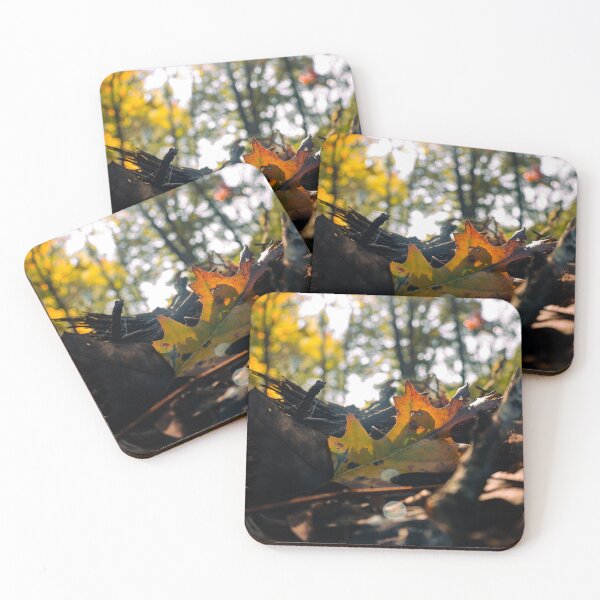 Item preview, Colorful Leaf Caught in the Sun designed and sold by TheySeeArtz.