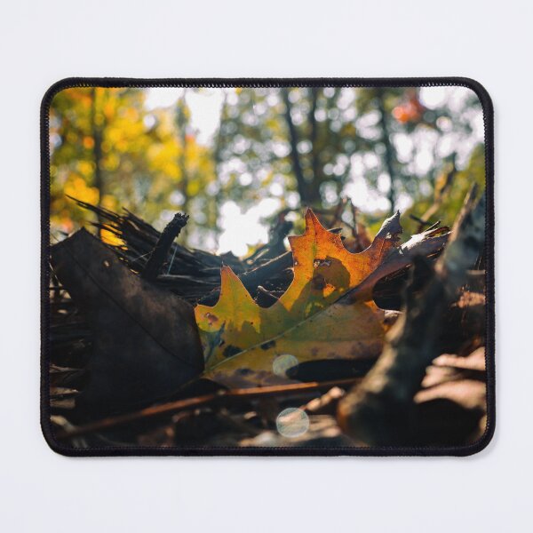 Item preview, Colorful Leaf Caught in the Sun designed and sold by TheySeeArtz.