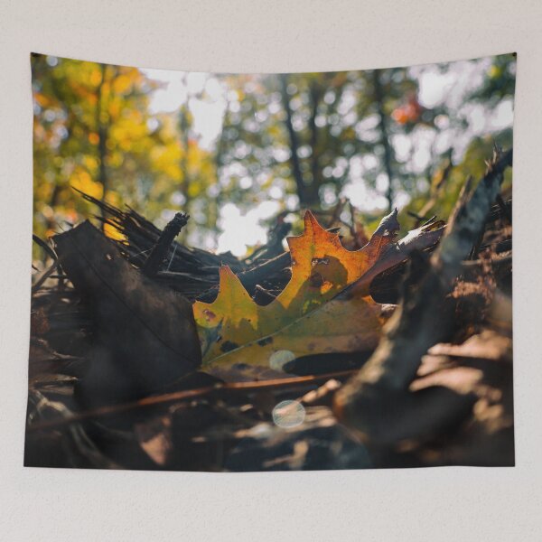 Item preview, Colorful Leaf Caught in the Sun designed and sold by TheySeeArtz.