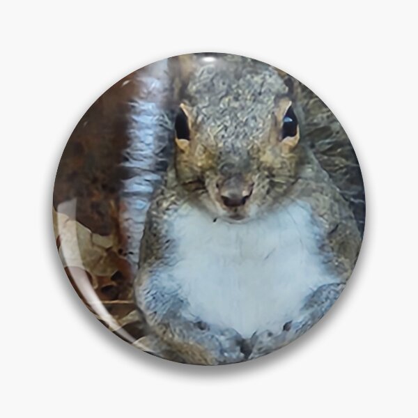 Item preview, Acorn, portrait of a squirrel  designed and sold by Bearsweetie2018.