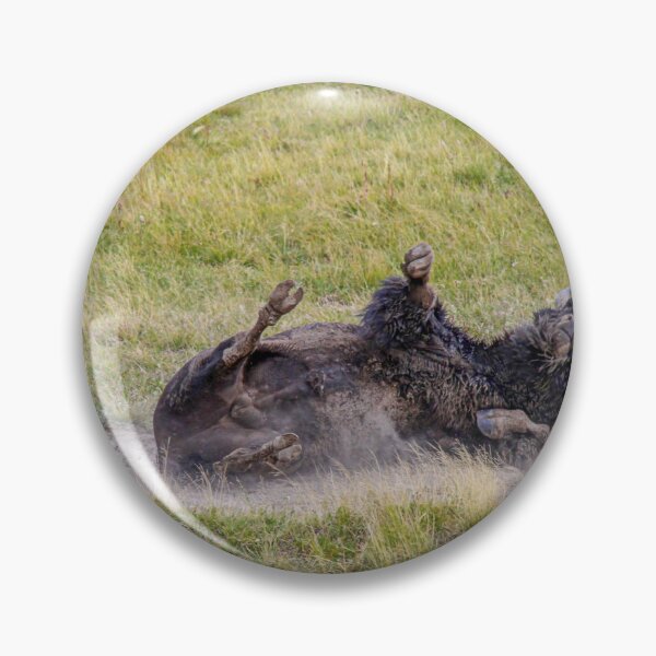 Item preview, Bison Enjoying A Dust Bath, Yellowstone National Park designed and sold by Catherine Sherman.