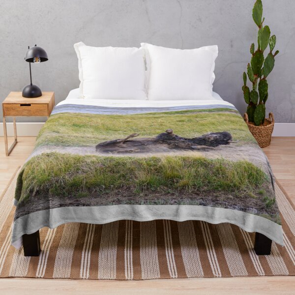 Item preview, Bison Enjoying A Dust Bath, Yellowstone National Park designed and sold by Catherine Sherman.