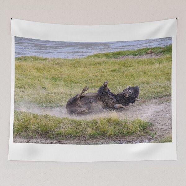 Item preview, Bison Enjoying A Dust Bath, Yellowstone National Park designed and sold by Catherine Sherman.