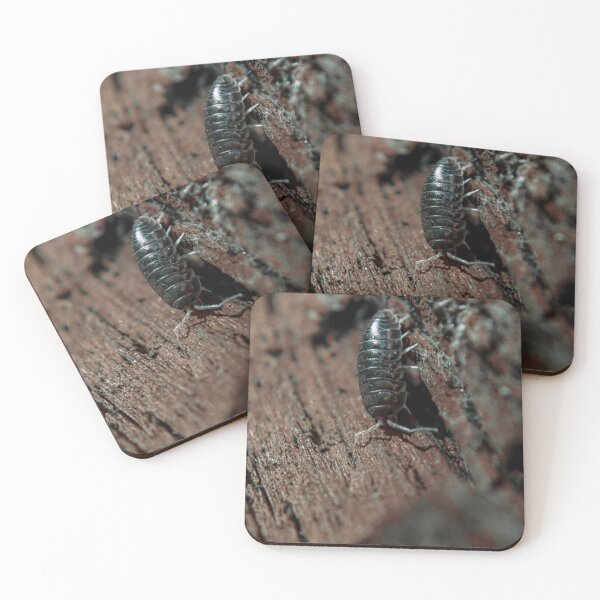 Item preview, Pill Bug on Wood designed and sold by TheySeeArtz.