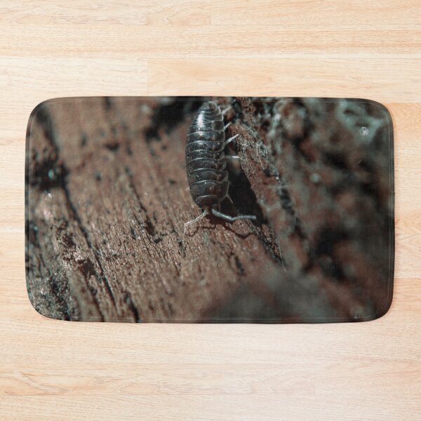 Item preview, Pill Bug on Wood designed and sold by TheySeeArtz.