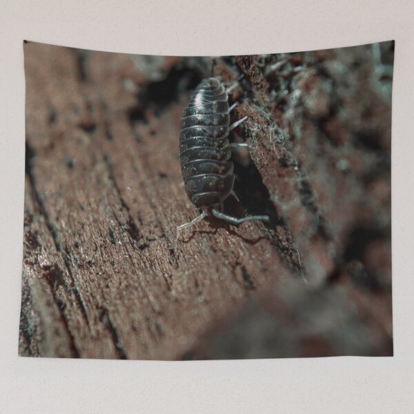 Item preview, Pill Bug on Wood designed and sold by TheySeeArtz.