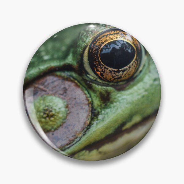 Item preview, Frog  designed and sold by katelizspra.