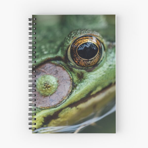 Item preview, Frog | Photography designed and sold by katelizspra.
